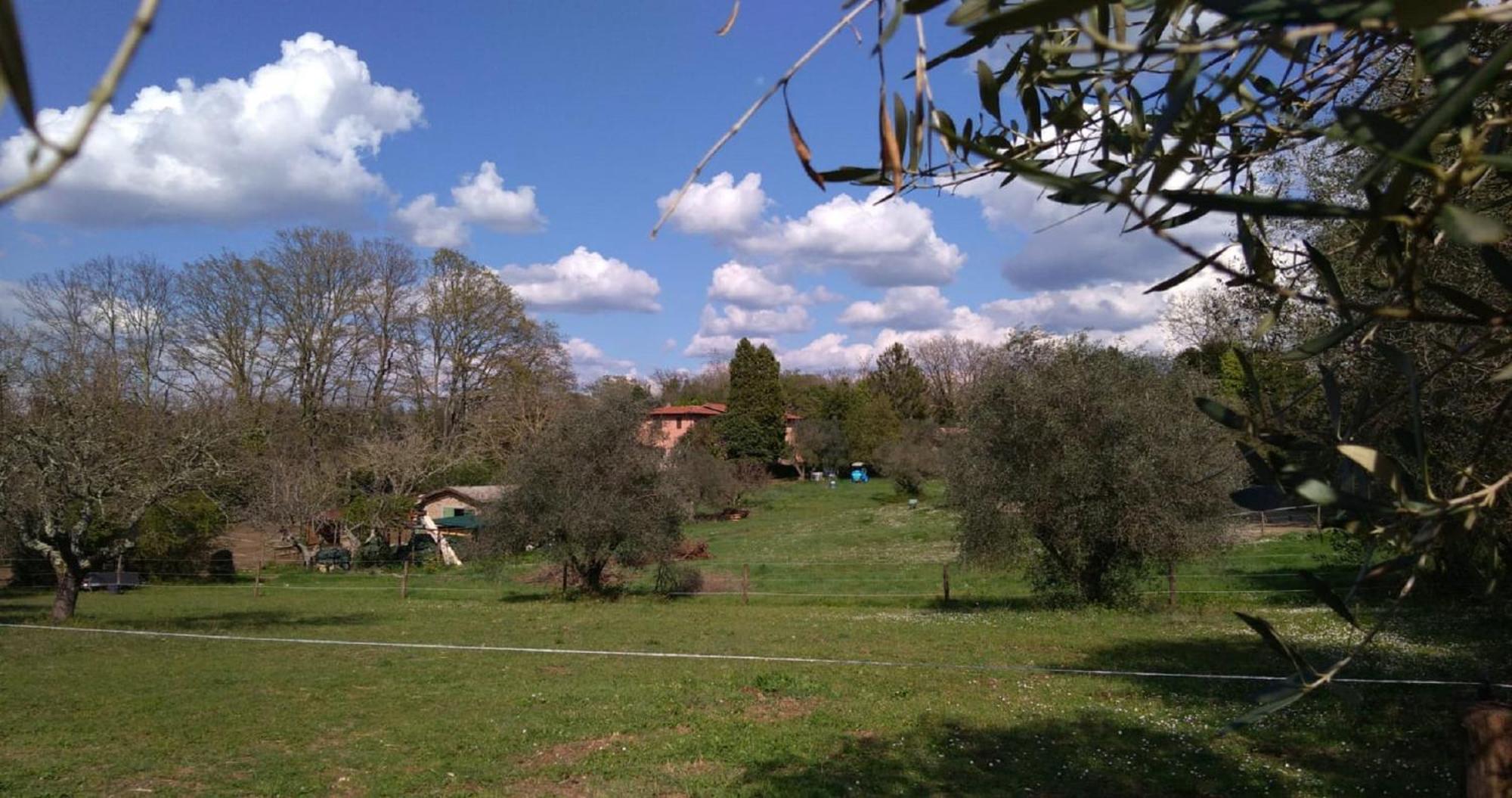 La Contea Hotel - Rome — Foto 1
